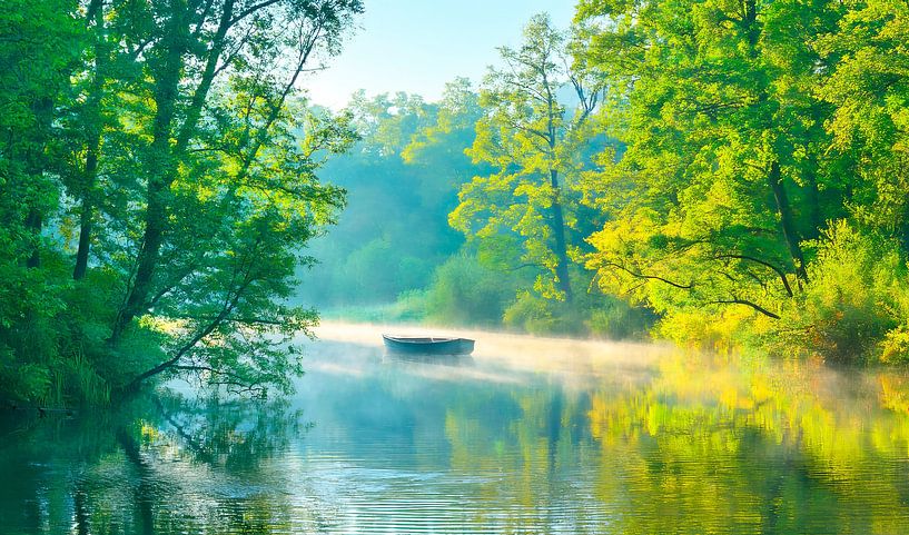 Morgennebel von Johann Pavelka