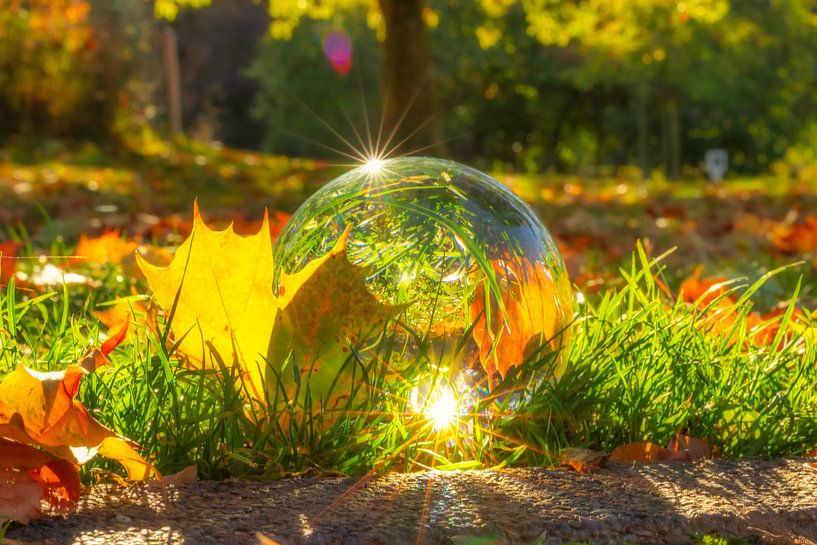 Glaskugel im Herbst by Dagmar Marina