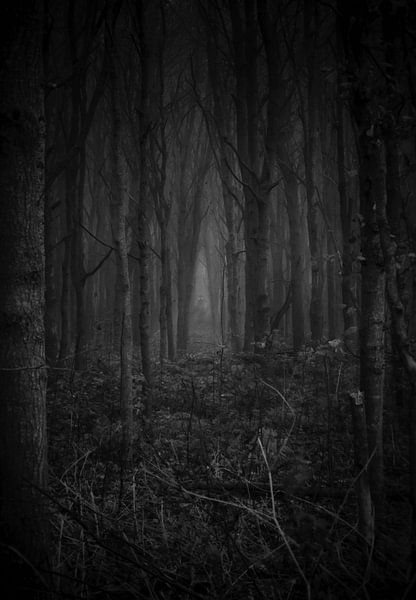 Le démon dans les bois (noir et blanc) par Maickel Dedeken