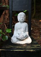 Buddha im Wald