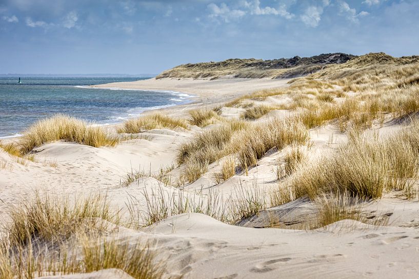Sanddünen im Naturschutzgebiet Ellenbogen bei List, Sylt von Christian Müringer