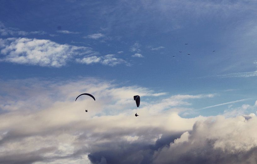 Flying by Bianca Massaar