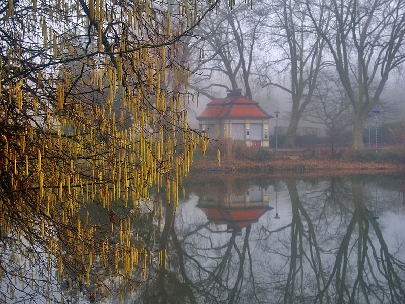 Fleurs de noisettes par Edgar Schermaul