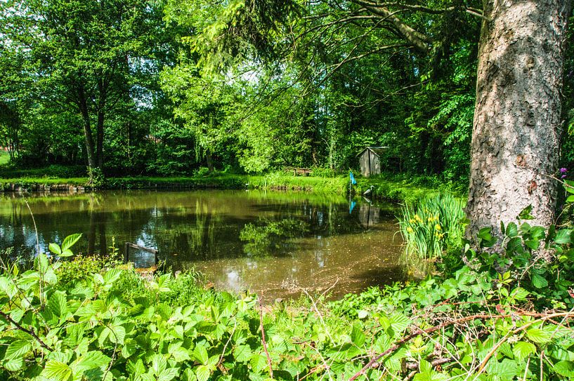Fishing pond by Norbert Sülzner