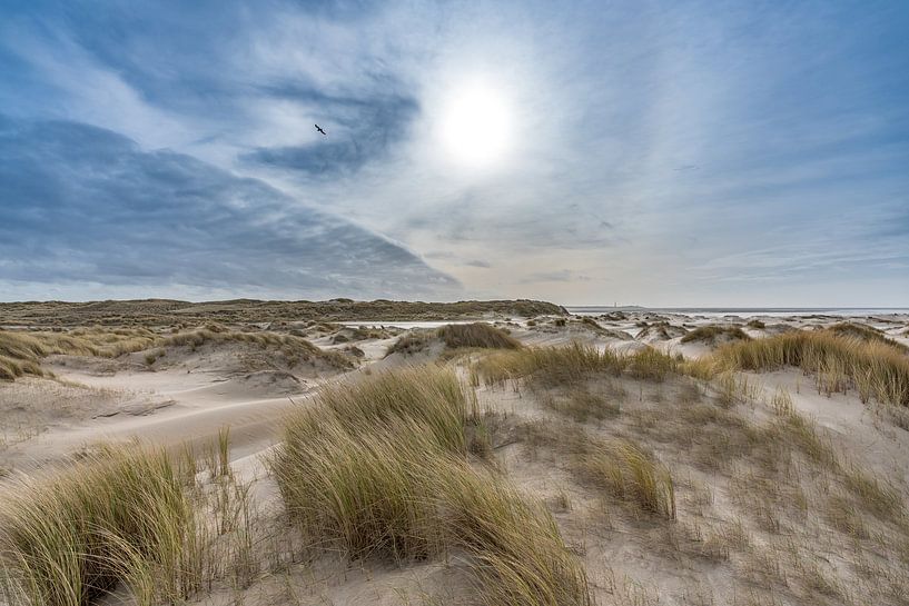 De Hors Texel kurz vor dem Sturm Eunice von Texel360Fotografie Richard Heerschap