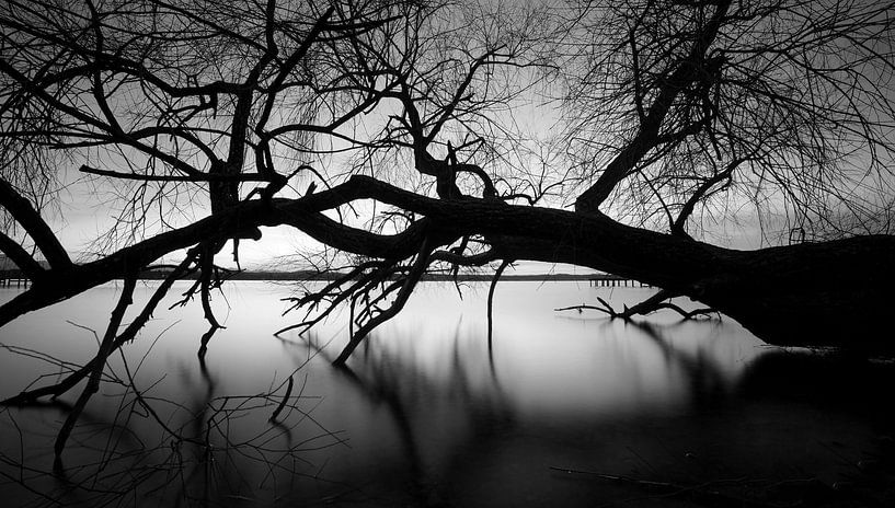 Starnberger See von Einhorn Fotografie