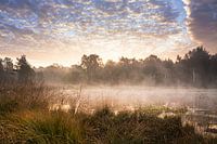 Streak of fog on a lake