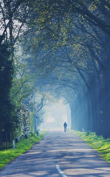 De eenzame fietser by Marian Steenbergen