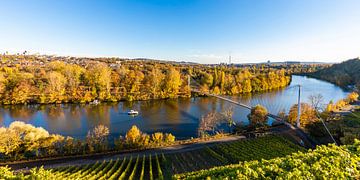 Weinberge und der Neckar in Stuttgart von Werner Dieterich