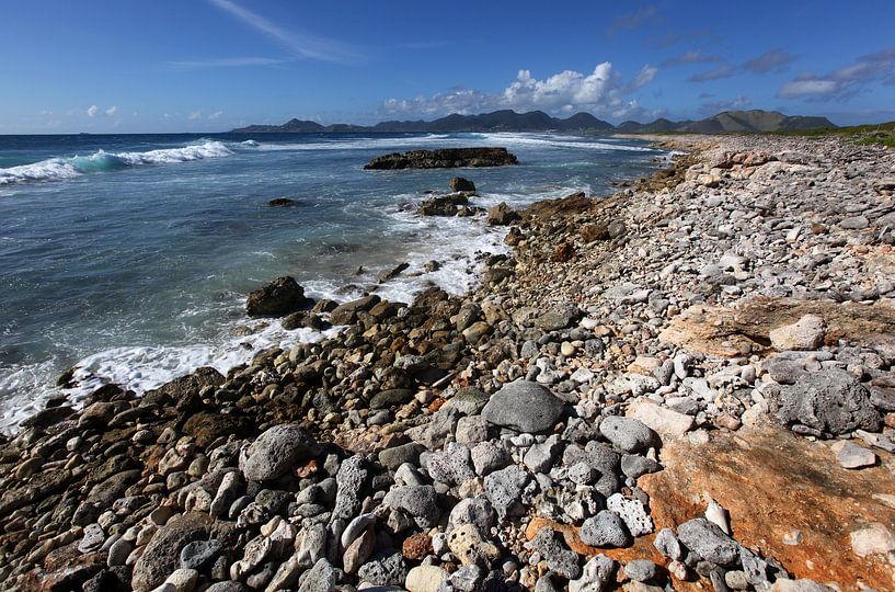 TINTAMARRE  von Sybrand Treffers