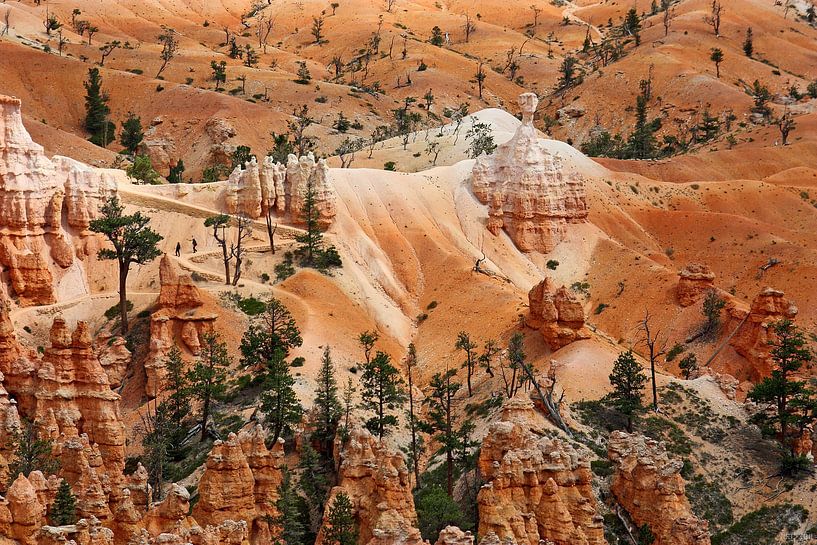 walking the hoodoos by Meleah Fotografie