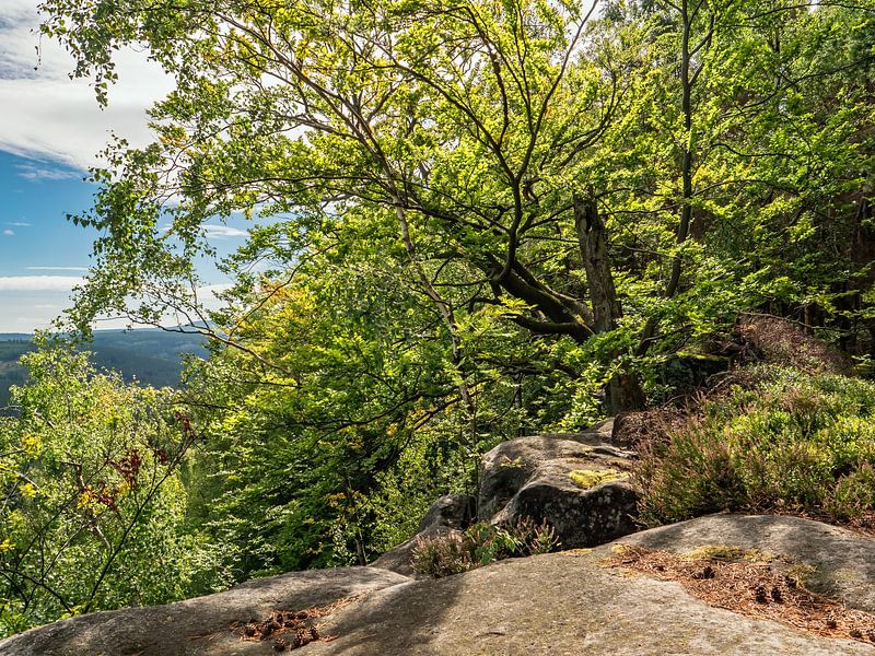 Katzstein, Saxon Switzerland - Near Mäusebornweg by Pixelwerk