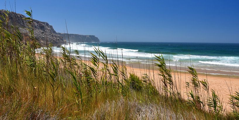 Le vent et les vagues par Bettina Schnittert