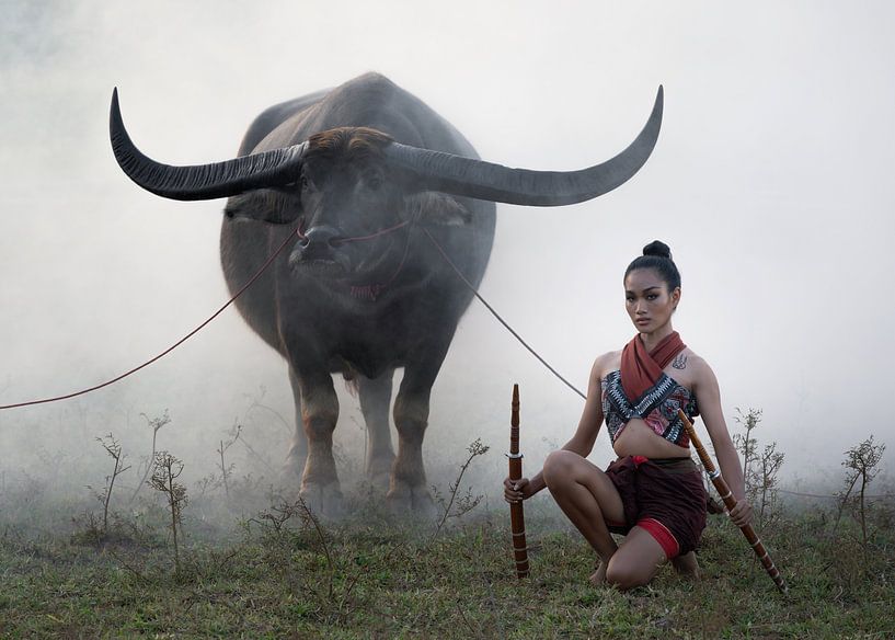 Young Thai woman with water buffalo in Surin by Anges van der Logt