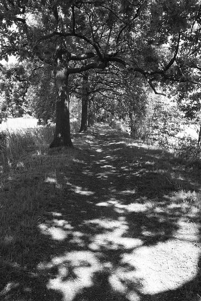 Path alongside the Vecht river by Marcel Boelens