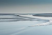 het wad in beweging  nr.2