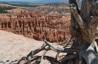 Parc national de Bryce et Hoodoos.