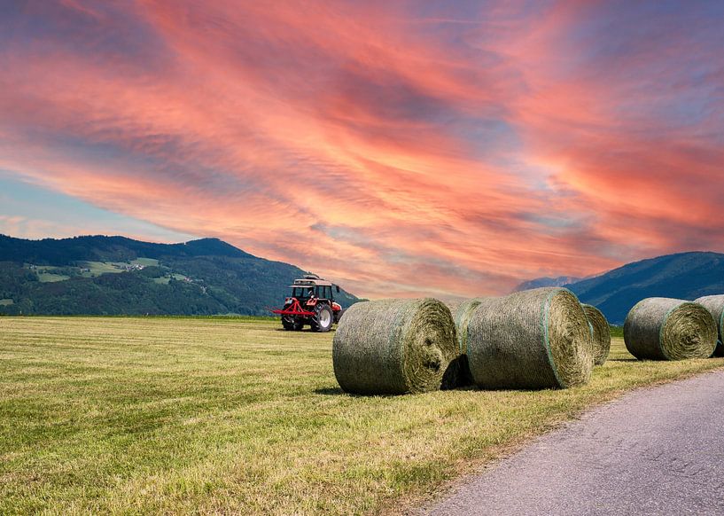 Traktor bei der Heuernte von Animaflora PicsStock