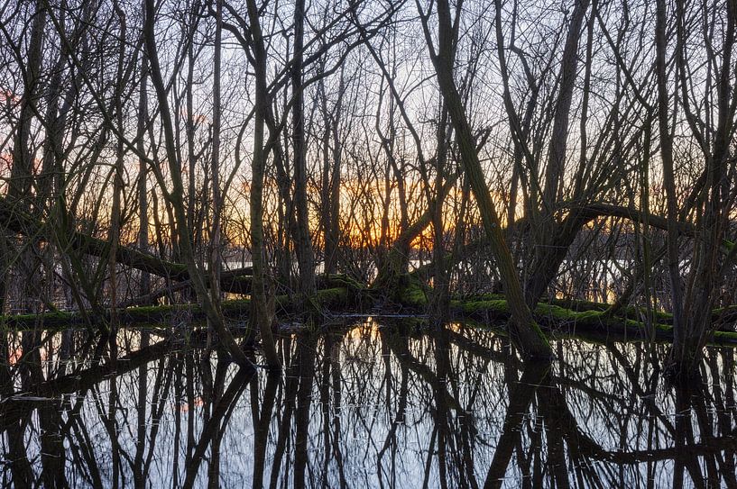 Sassenhein - Haren - Groningen (Pays-Bas) par Marcel Kerdijk