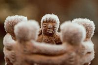 ripe image friendship