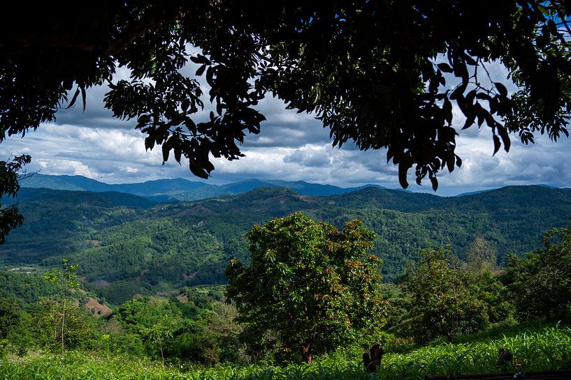 Doi Mae Salong, province de Chiang Rai dans le nord de la Thaïlande par Franklin Driessen