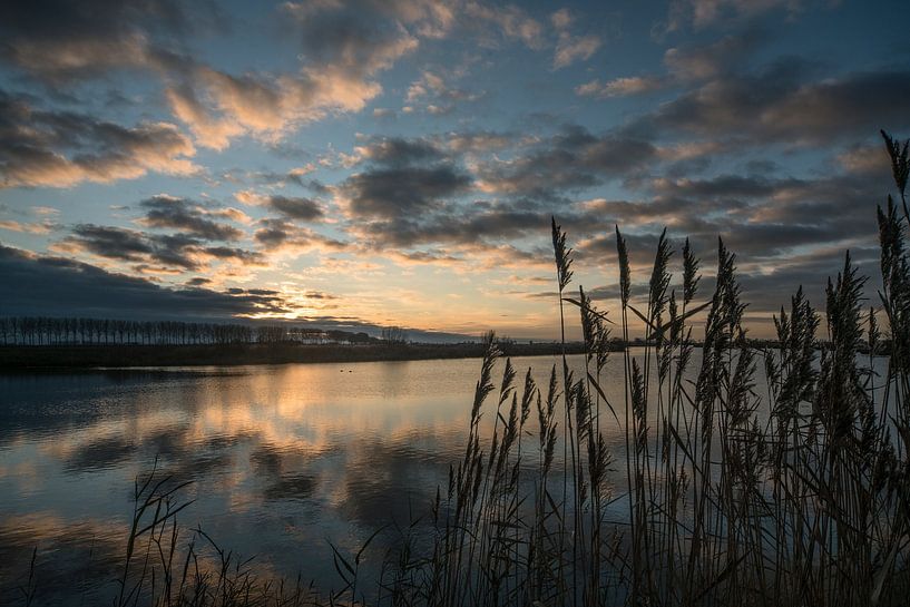 Blues von Mario de Lijser