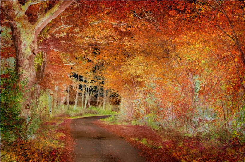 En automne par Corinne Welp