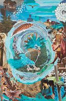 Showing off feathers ; Feathers