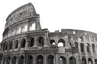 Colosseum II (Seamless White)