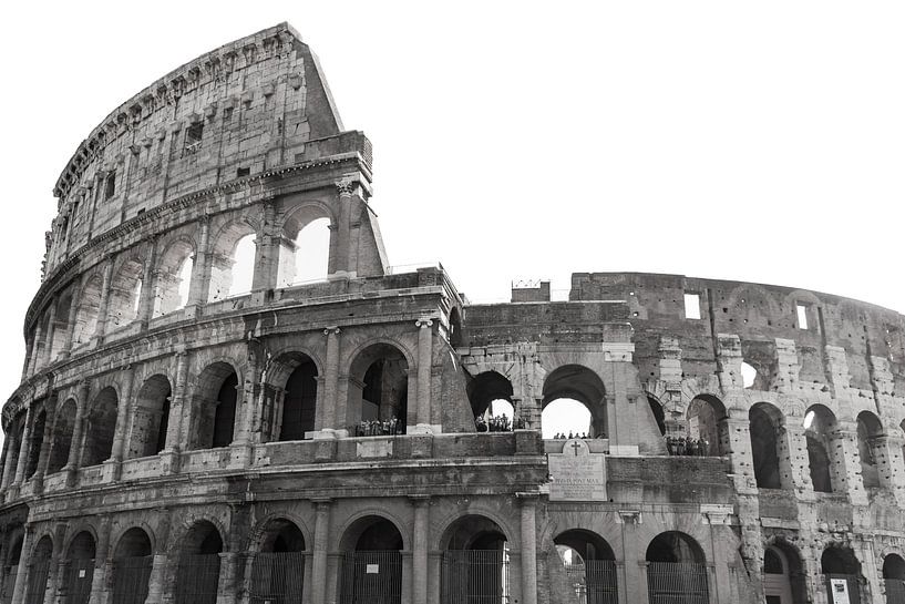 Colosseum II (Seamless White) by Joram Janssen