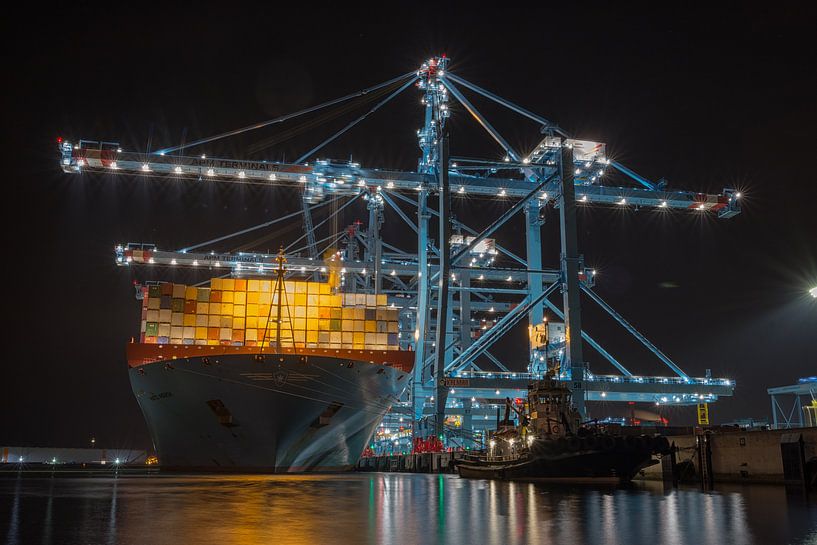 APM2 Terminal  van Bas de Visser