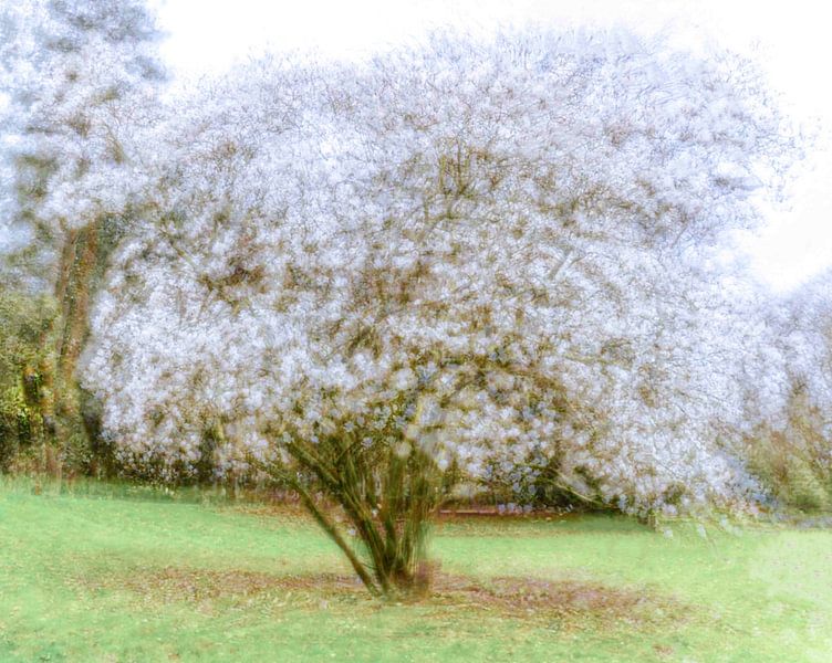 Pointillism by Aimé de Clercq