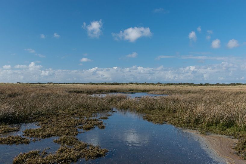 Paysage de marais salants sur Schiermonnikoog par Patrick Verhoef