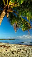 4 Mile Beach, Port Douglas; Far North Queensland - Australia