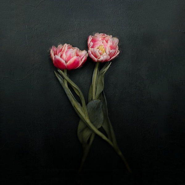 Letzter Tanz von Dorothea van der Staaij