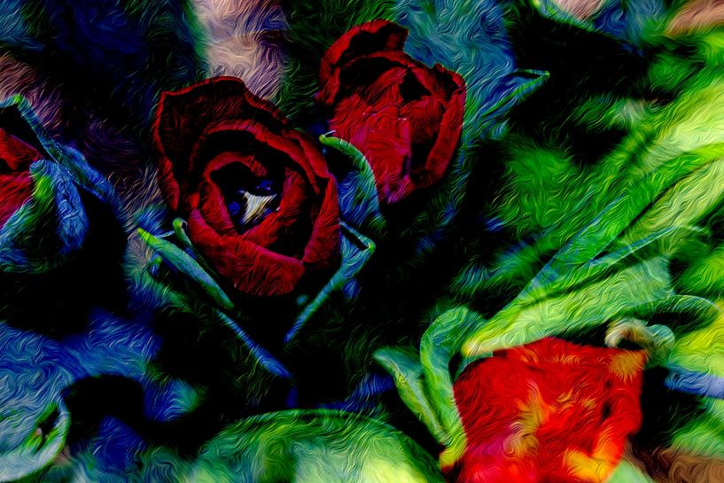 ABSTRAKT : FLORA - BLÜHENDE TULPEN von Photoart-Naegele
