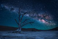 Toter Baum bei Nacht im Dead Vlei
