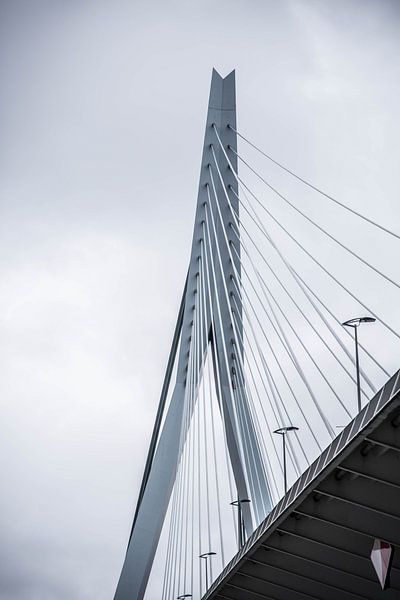 bridge by Leonie Stolk