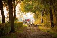 Slip-hunting, equipage with mob against setting sun