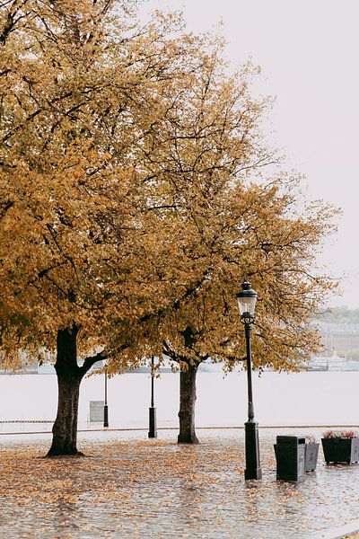 Stockholm im Herbst von sonja koning