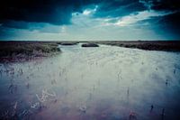 Fließendes Wasser in der niederländischen Landschaft