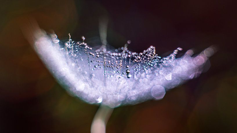 Mist on a lint by Bert Nijholt