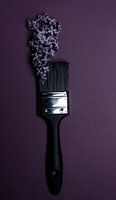 A purple flower paintbrush