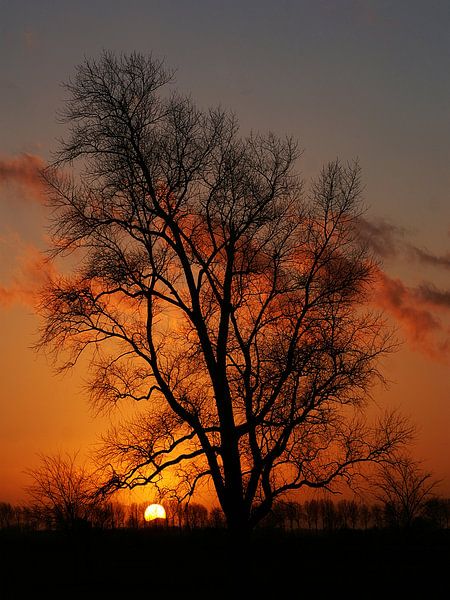 Kruisdijk von Mario de Lijser