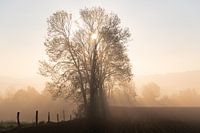 Sonnenaufgang in Kluisbergen