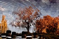 Reflections. Herbstlandschaft.