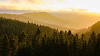 Panorama of the mountainous landscape at sunset in the Sauerland