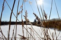 Der Wasserturm von Solleveld im Winter