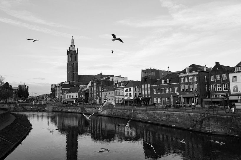 Meeuwen boven de Roer vanaf de Steenen Brug van Strooptocht.EU