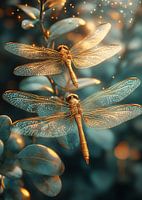 Beauty of the Dragonfly